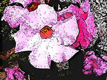 Photographie intitulée "petunia" par Mchris, Œuvre d'art originale, Photographie numérique