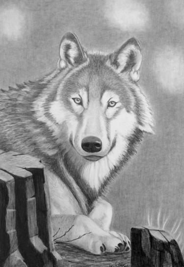 Dessin intitulée "Le loup" par Pelletier, Œuvre d'art originale, Crayon