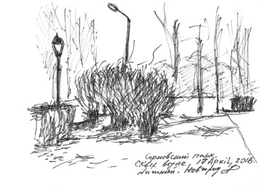 Drawing titled "trees in the square…" by Dea Lieotto, Original Artwork, Ballpoint pen