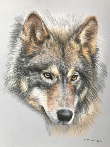 Dessin intitulée "Tête de loup" par Deborah Kerner, Œuvre d'art originale, Pastel