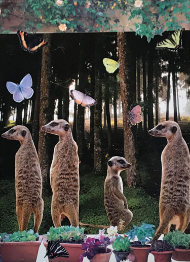 On the Edge of the Wood Collages titled "On the Edge of the…" by Debra Rogers, Original Art, Collages