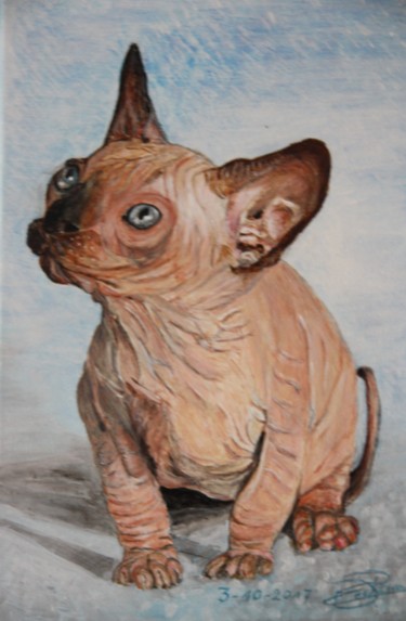 Sphynx-kitten 13 weken Schilderij getiteld "Sphynx-kitten 13 we…" door Edmond Dechamps, Origineel Kunstwerk,