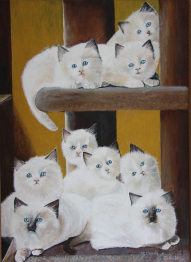 「9 Angora - kittens」というタイトルの絵画 Edmond Dechampsによって, オリジナルのアートワーク, アクリル