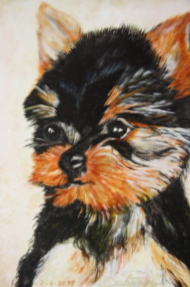 Painting titled "Yorkshire -pup" by Edmond Dechamps, Original Artwork, Acrylic