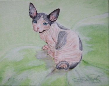 Painting titled "Sphynx -kitten Harl…" by Edmond Dechamps, Original Artwork, Acrylic