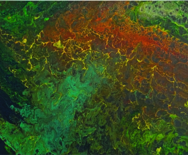 Peinture intitulée "Galaxie terrestre" par Deefool, Œuvre d'art originale, Acrylique Monté sur Châssis en bois