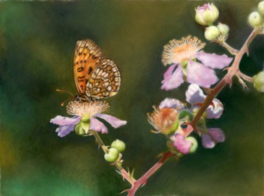 Dessin intitulée "papillon-et-fleurs.…" par D.H.Louis, Œuvre d'art originale, Craie