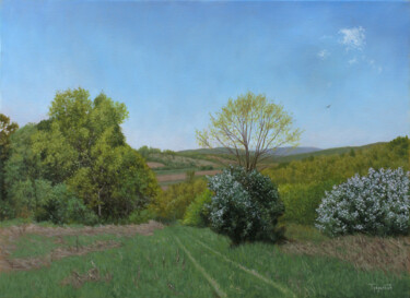 Schilderij getiteld "The Meadow in Spring" door Dejan Trajkovic, Origineel Kunstwerk, Olie