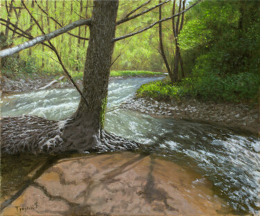 Painting titled "Mountain Stream" by Dejan Trajkovic, Original Artwork, Oil