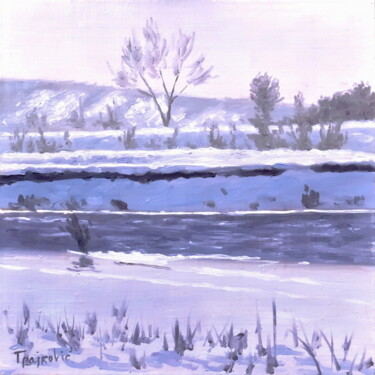 Pintura titulada "Snowy Coasts" por Dejan Trajkovic, Obra de arte original, Oleo