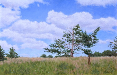 Painting titled "The Lonely Pine" by Dejan Trajkovic, Original Artwork, Oil