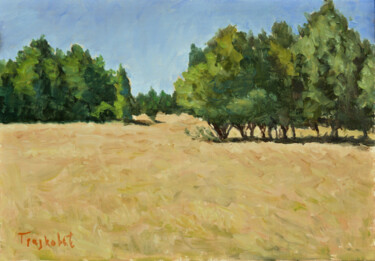 Painting titled "Dry Grass on the Me…" by Dejan Trajkovic, Original Artwork, Oil