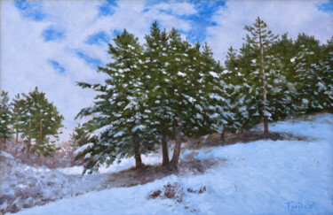 Malarstwo zatytułowany „Peace of Winter” autorstwa Dejan Trajkovic, Oryginalna praca, Olej