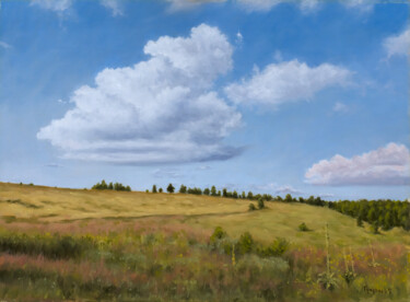 Schilderij getiteld "Cloud and Meadow" door Dejan Trajkovic, Origineel Kunstwerk, Olie