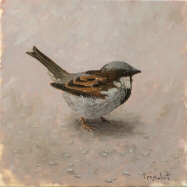 Painting titled "Sparrow" by Dejan Trajkovic, Original Artwork, Oil