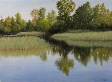 Painting titled "Bulrush Swamp" by Dejan Trajkovic, Original Artwork, Oil