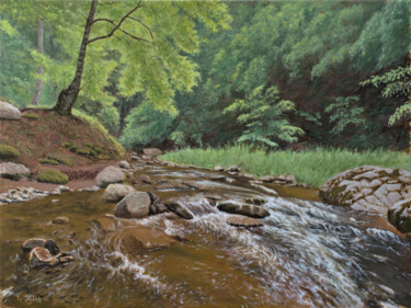 Painting titled "Stream and Rock" by Dejan Trajkovic, Original Artwork, Oil