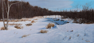 Картина под названием "Snowy River" - Dejan Trajkovic, Подлинное произведение искусства, Масло