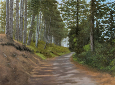 Painting titled "Rocky road through…" by Dejan Trajkovic, Original Artwork, Oil