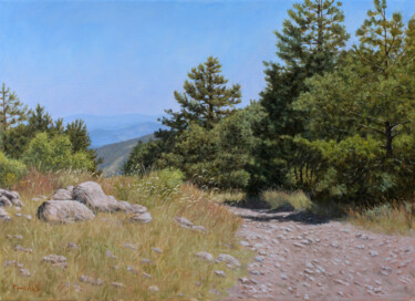 Painting titled "Rocky Road to the C…" by Dejan Trajkovic, Original Artwork, Oil