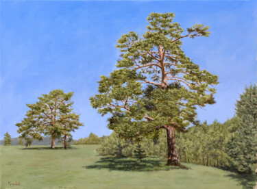 Pittura intitolato "Old Pines" da Dejan Trajkovic, Opera d'arte originale, Olio