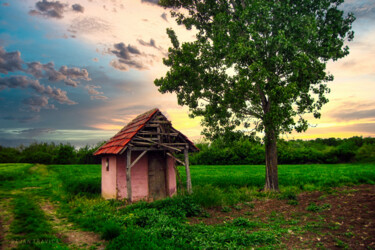 摄影 标题为“A hut in the field” 由Dejan Travica, 原创艺术品, 数码摄影
