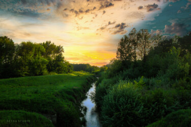 Фотография под названием "A small forest river" - Dejan Travica, Подлинное произведение искусства, Цифровая фотография