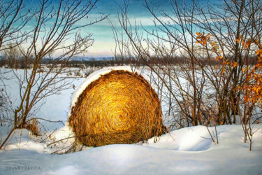 Photography titled "Hay bale forgotten…" by Dejan Travica, Original Artwork, Digital Photography