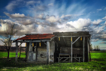 Photographie intitulée "An old hut in a gre…" par Dejan Travica, Œuvre d'art originale, Photographie numérique