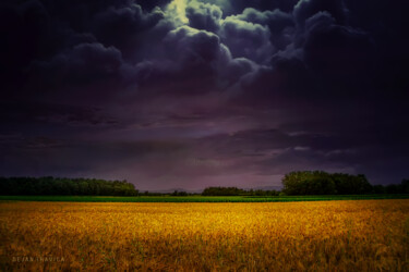 Fotografia intitolato "Wheat field under t…" da Dejan Travica, Opera d'arte originale, Fotografia digitale