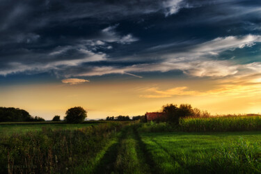 Photographie intitulée "Country road at sun…" par Dejan Travica, Œuvre d'art originale, Photographie numérique
