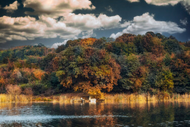 Photographie intitulée "Colorful forest nex…" par Dejan Travica, Œuvre d'art originale, Photographie numérique