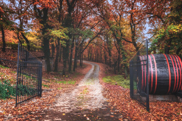 Fotografia intitolato "Entrance to the aut…" da Dejan Travica, Opera d'arte originale, Fotografia digitale