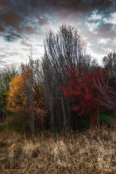 Fotografie getiteld "Meet the autumn" door Dejan Travica, Origineel Kunstwerk, Digitale fotografie