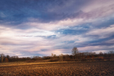 Fotografie mit dem Titel "The bare field is w…" von Dejan Travica, Original-Kunstwerk, Digitale Fotografie