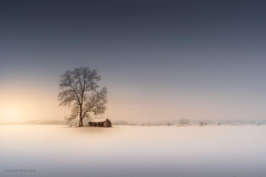 Photographie intitulée "An old hut in the w…" par Dejan Travica, Œuvre d'art originale, Photographie numérique