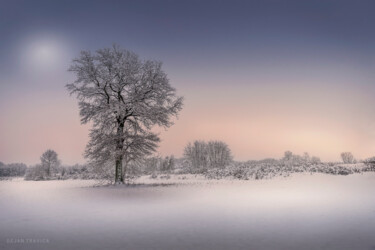 Photography titled "Winter tree" by Dejan Travica, Original Artwork, Digital Photography