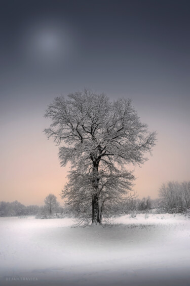 Fotografia intitulada "Winter solitude" por Dejan Travica, Obras de arte originais, Fotografia digital