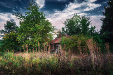 Photographie intitulée "An abandoned hut hi…" par Dejan Travica, Œuvre d'art originale, Photographie numérique