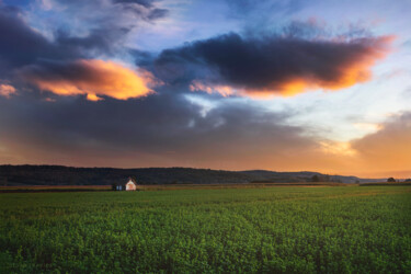 Photographie intitulée "Clover field at sun…" par Dejan Travica, Œuvre d'art originale, Photographie numérique