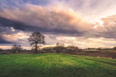 Фотография под названием "Somewhere between w…" - Dejan Travica, Подлинное произведение искусства, Цифровая фотография