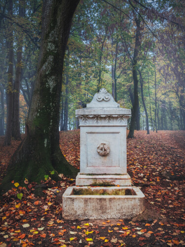 Photographie intitulée "The old marble foun…" par Dejan Travica, Œuvre d'art originale, Photographie numérique