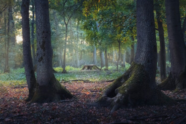 Photographie intitulée "Entrance to the mys…" par Dejan Travica, Œuvre d'art originale, Photographie numérique