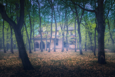 Fotografia zatytułowany „Abandoned old villa…” autorstwa Dejan Travica, Oryginalna praca, Fotografia cyfrowa