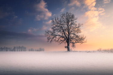 Fotografía titulada "Winter idyll" por Dejan Travica, Obra de arte original, Fotografía digital