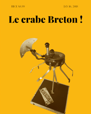 Скульптура под названием "LE CRABE BRETON !" - Catherine Delaforge (KTY95), Подлинное произведение искусства, Алюминий