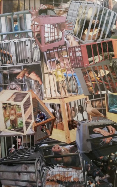 Collages intitulée "la Cage" par Sy-Mo-Vi, Œuvre d'art originale, Collages Monté sur Carton