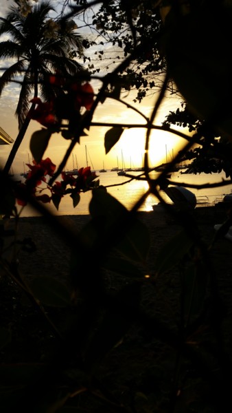 Photographie intitulée "Coucher de soleil" par Sy-Mo-Vi, Œuvre d'art originale