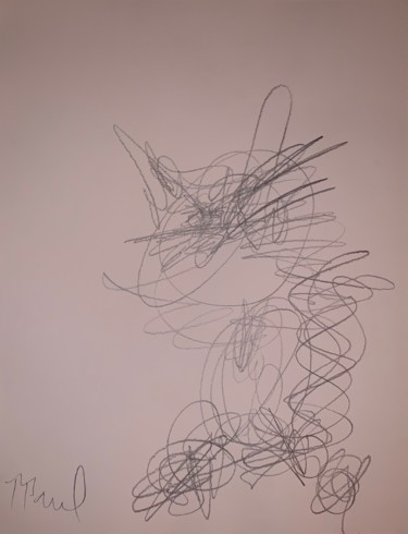 Dessin intitulée "« U baijin »" par Ppaul, Œuvre d'art originale, Crayon