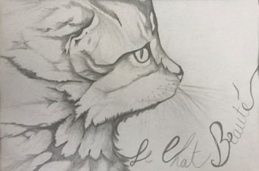 Drawing titled "Le chat beauté" by Sego, Original Artwork, Pencil
